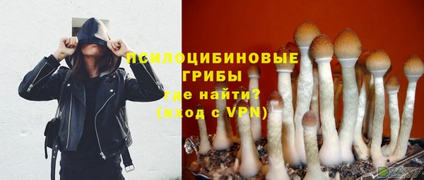 дживик Ельня