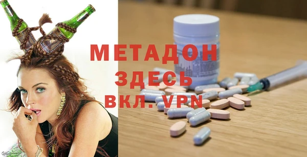 дживик Ельня