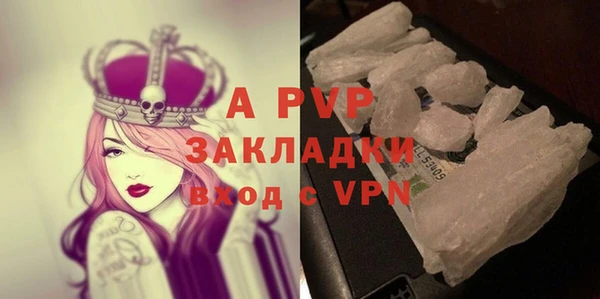 дживик Ельня