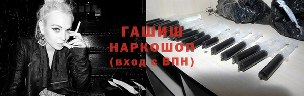 дживик Ельня