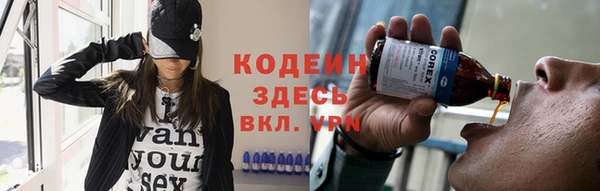 дживик Ельня