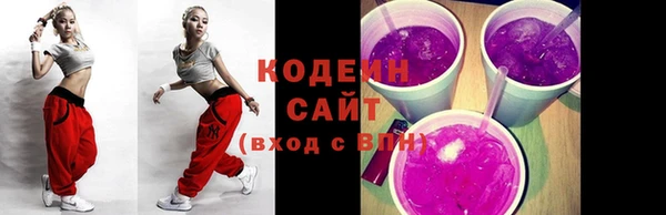 дживик Ельня