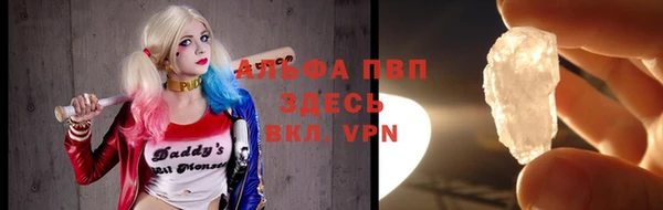 дживик Ельня