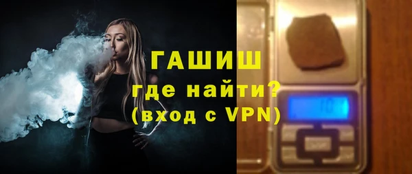 дживик Ельня
