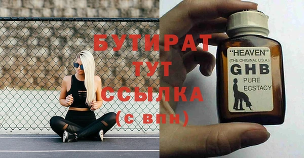 дживик Ельня