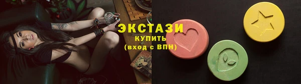 дживик Ельня