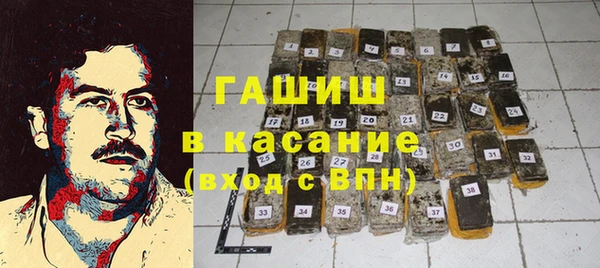 дживик Ельня