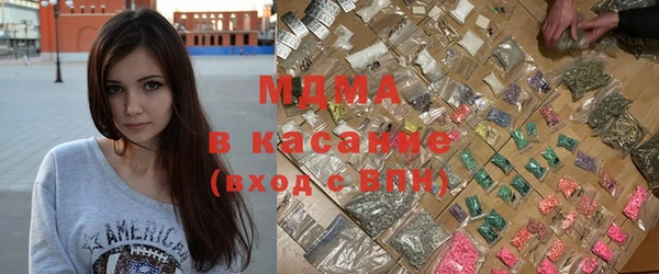 дживик Ельня