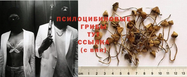 МДМА Елизово