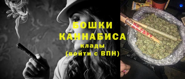 дживик Ельня