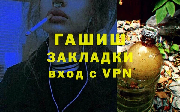 дживик Ельня