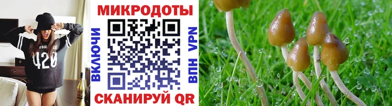 Псилоцибиновые грибы ЛСД  Купить где  Мончегорск 