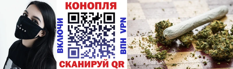 Конопля гибрид  Купить  Мончегорск 